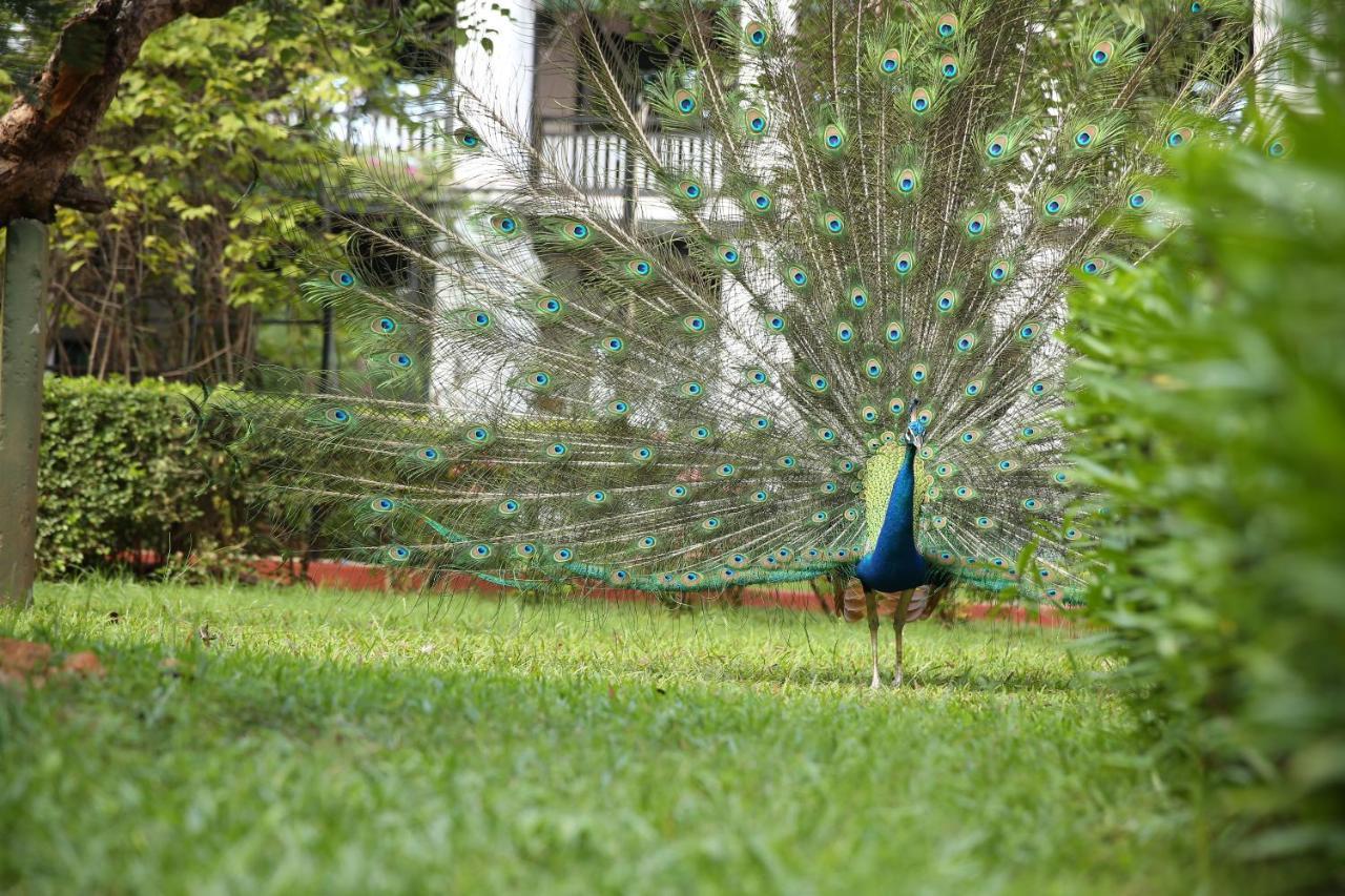 Gateway Madurai Hotel Exterior foto